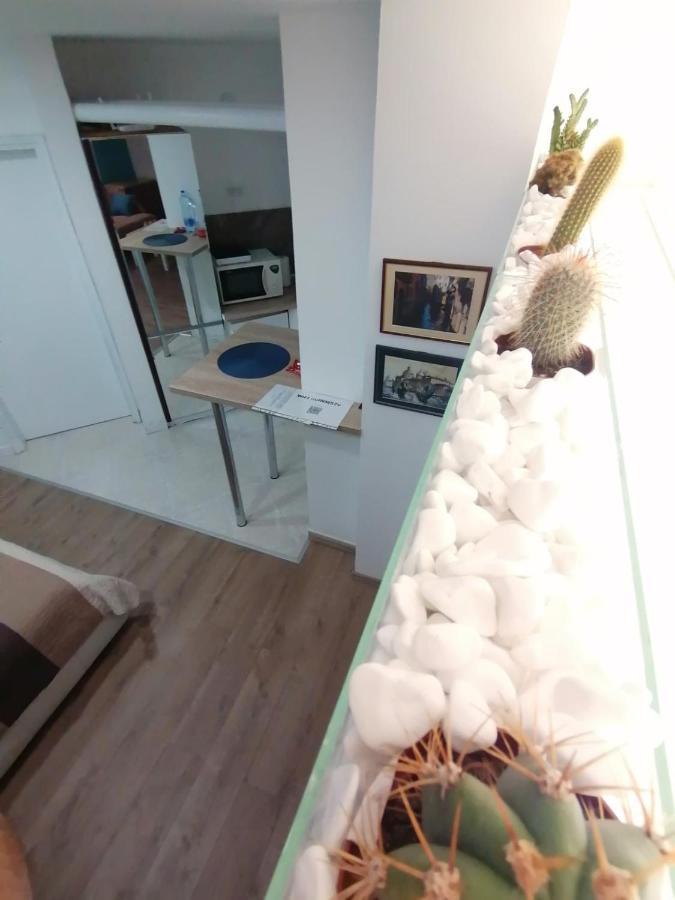 Apartman Dunja S Beograd Bagian luar foto